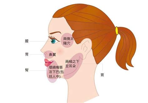 痘痘长的位置|长痘痘位置图解，不同位置长痘痘反应出身体不同状况